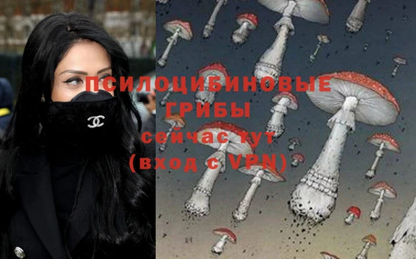 прущая мука Армянск