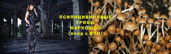 дживик Аркадак