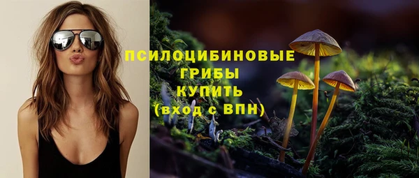 СК Семёнов