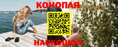 шишки Апшеронск