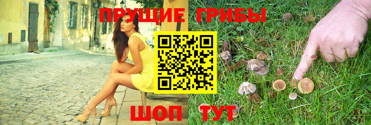 Галлюциногенные грибы GOLDEN TEACHER Горно-Алтайск