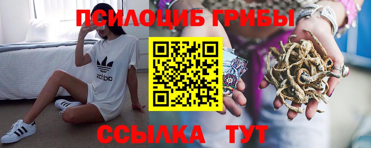 Галлюциногенные грибы Magic Shrooms  даркнет сайт  Горно-Алтайск  Галлюциногенные грибы MAGIC MUSHROOMS 