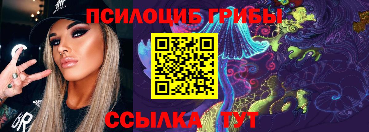 Псилоцибиновые грибы Psilocybe  Вход с VPN  Горно-Алтайск  магазин    Псилоцибиновые грибы Psilocybe 