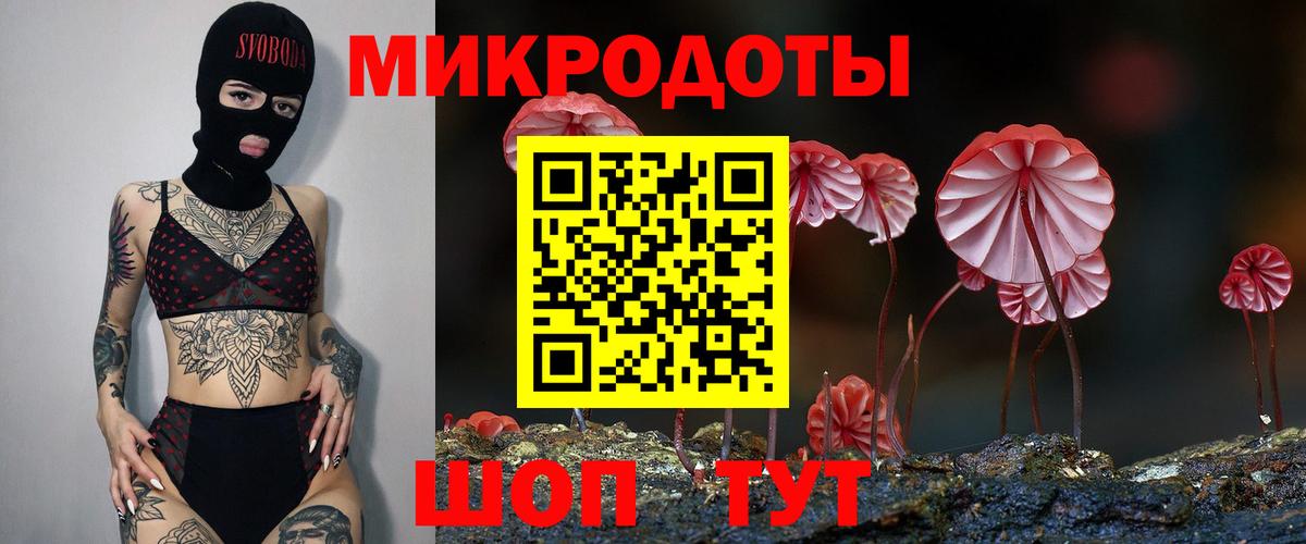 Галлюциногенные грибы мицелий Горно-Алтайск